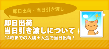 即日出荷・当日引き渡しについての注意事項